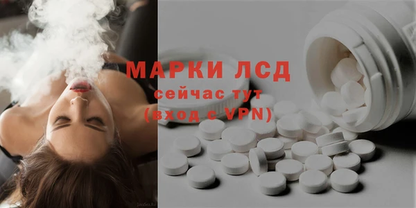 спиды Аркадак