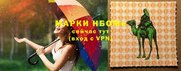 спиды Аркадак