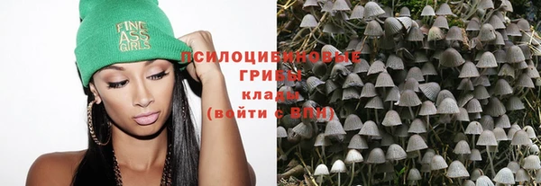 таблы Армянск